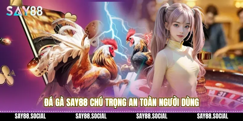 Đá gà Say88 chú trọng an toàn người dùng