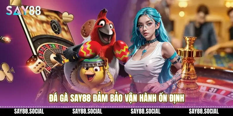 Đá gà Say88 đảm bảo vận hành ổn định