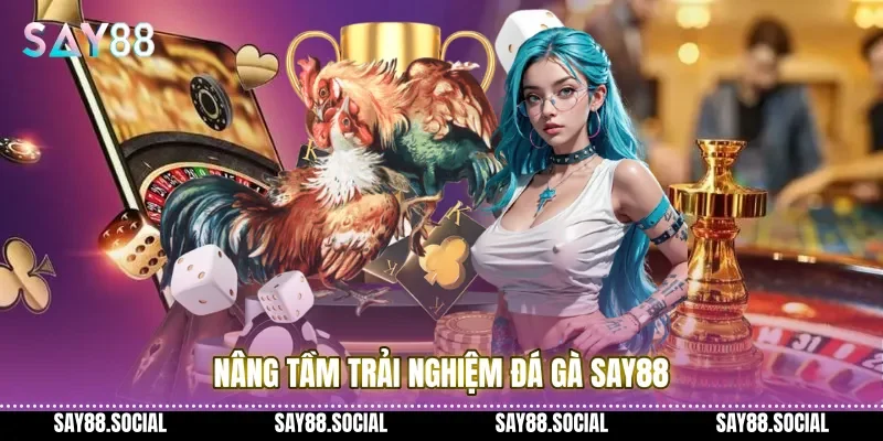 Nâng tầm trải nghiệm đá gà Say88